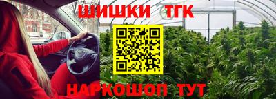 прущие крисы Кулебаки