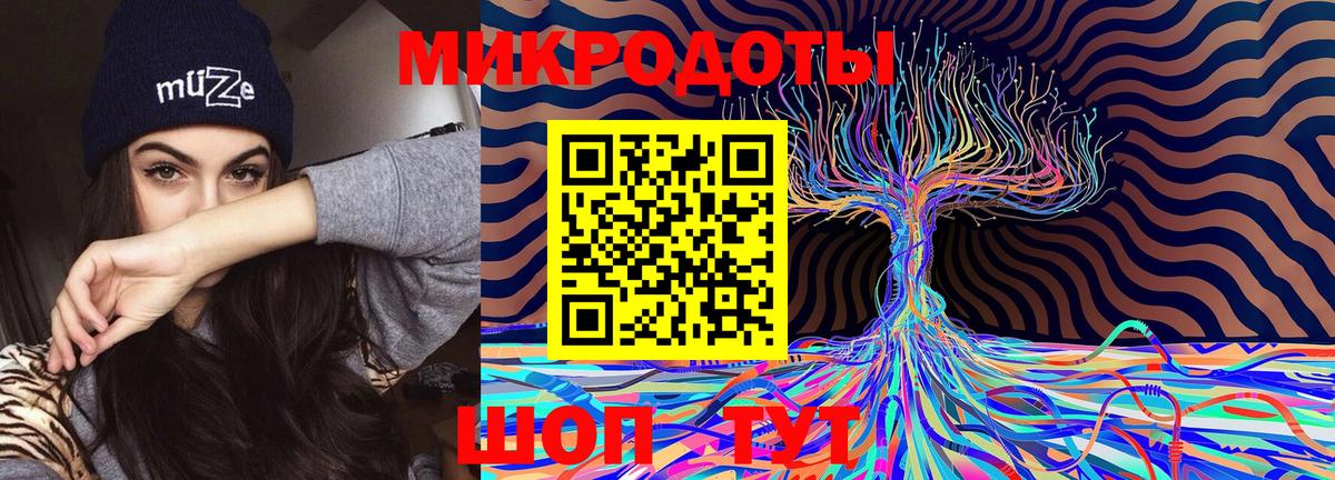 купить закладку  Вход с VPN  Псилоцибиновые грибы Psilocybe  Каменск-Уральский  Псилоцибиновые грибы Psilocybine cubensis 
